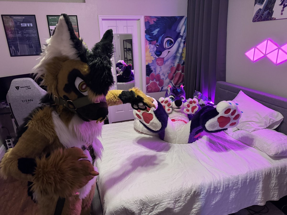 forest ๐ (@theforestshep) on Twitter photo happy #FursuitFriday , this weird dog wonโt get out of the bed. help.
๐บ - <a href="/SynthwaveWolfy/">Chase ๐ MP</a> happy #FursuitFriday , this weird dog wonโt get out of the bed. help.
๐บ - <a href="/SynthwaveWolfy/">Chase ๐ MP</a>