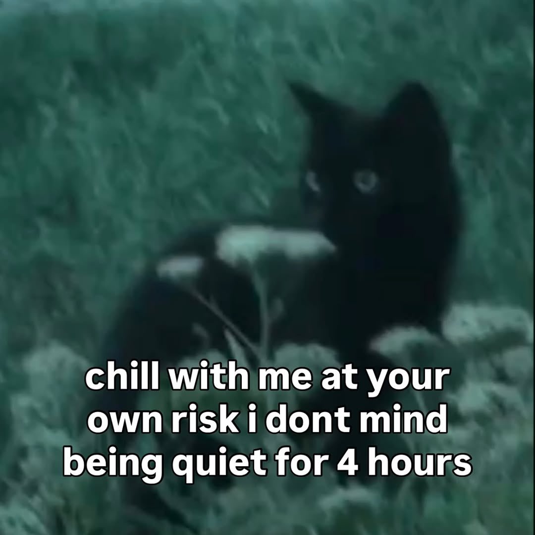 LiterallyMeCats (@literallymecats) on Twitter photo 