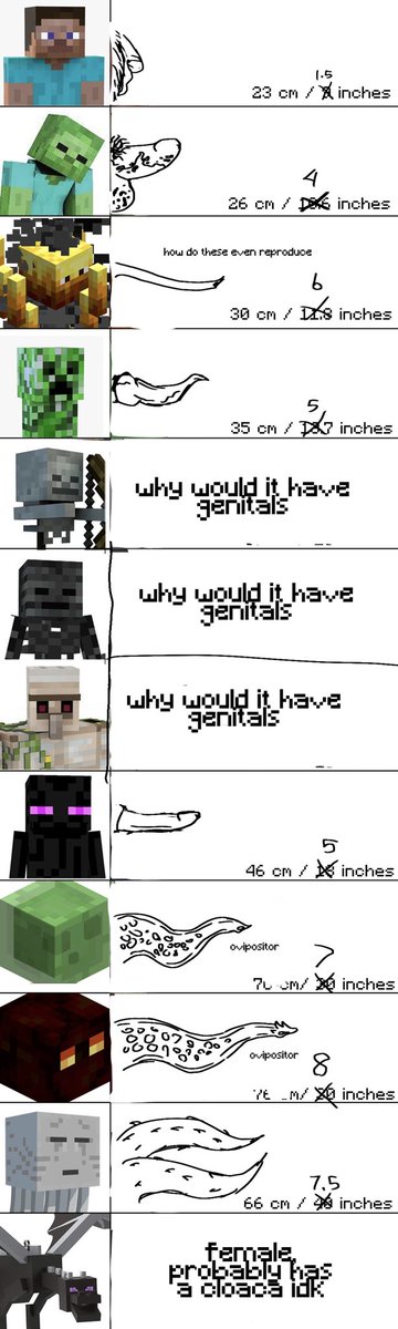 that one Minecraft image but I fixed it because I hate it