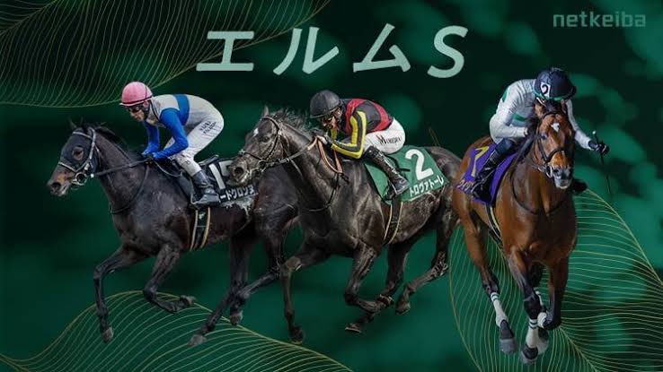 NOTE📓大変お待たせしました！
🏆エルムS🏆の予想です！
直近の重賞結果は⬇️
🏆アイビスSD🏆◎ピューロマジック🥇
3連複71倍🎯
🏆小倉記念🏆◎ディープ🥉
3連複99倍🎯
🏆北九州記念🏆◎ヨシノ🥈
🏆ラジオ🏆◎インパクトシー🥉
3連複105倍🎯
🏆函館SS🏆◎カピリナ🥇
3連単1099倍🎯
興味ある方は是非🏇💨