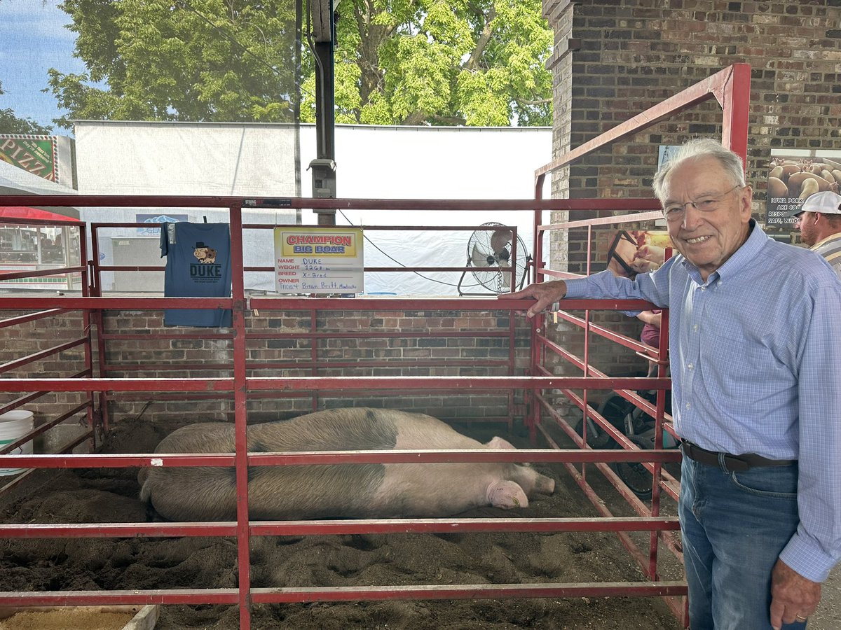ChuckGrassley's tweet image. The biggest boar from Monticello