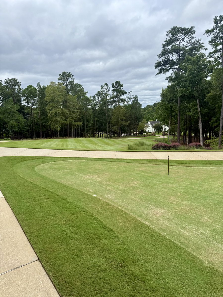 If you forgot about me I’m still here 

Kick.com/jwarrior57