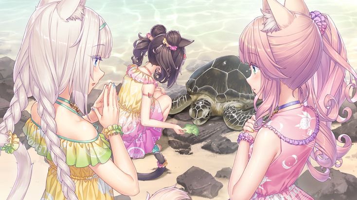 ⃟⃟⃟⃟⃟ tweet media