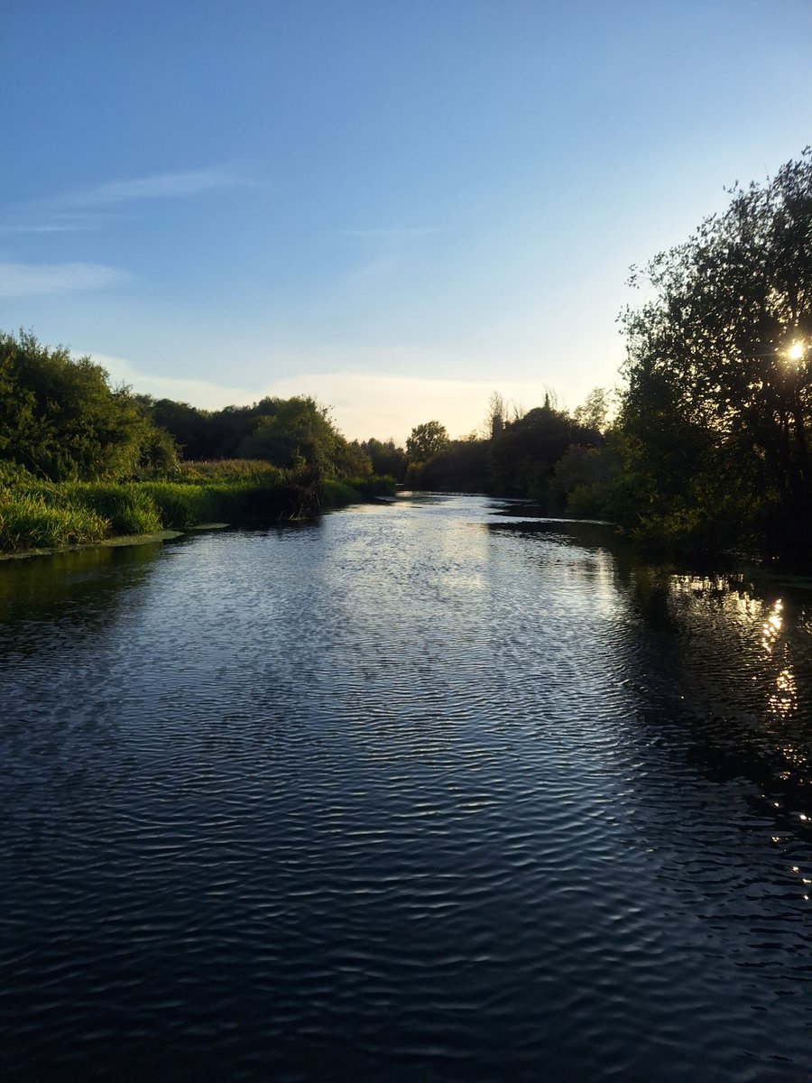 Alex Sharp tweet media