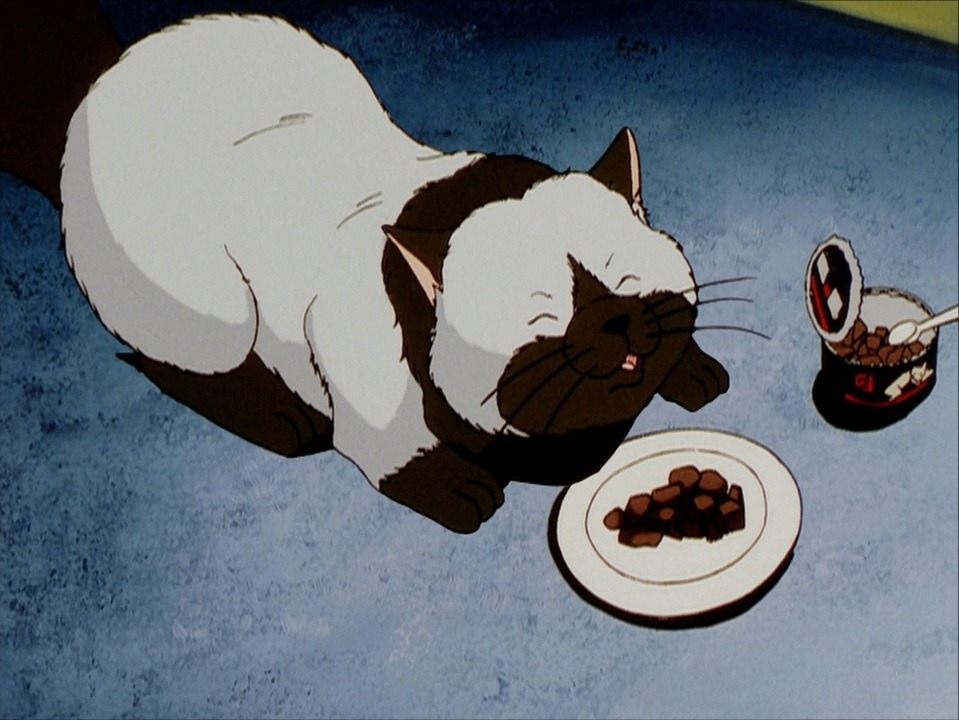 louis "skinny" albert 𓈒𓏸˚₊ଳ｡° tweet media