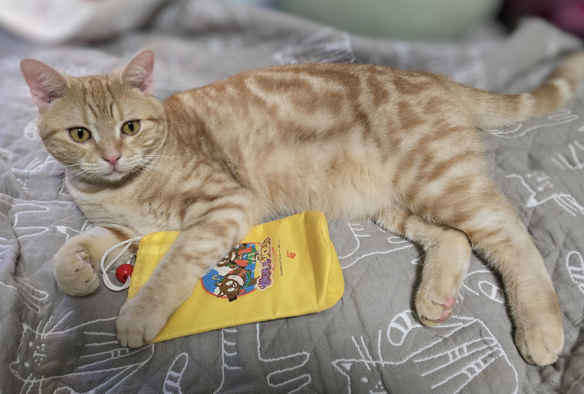ゆきそら　猫柄スタイ　ヨダレかけ Amazon.co.jp: [JALCH] よだれかけ 11ぴきのねこ スタイ ベビー