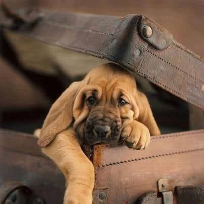 Vitória às vezes é deixar pra lá. 
Trocar a vaidade de ter razão pelo sossego de estar em paz. 
Deixar o outro com as certezas dele enquanto a gente desfruta da liberdade de não precisar ter tantas certezas assim.

Ana Jácomo