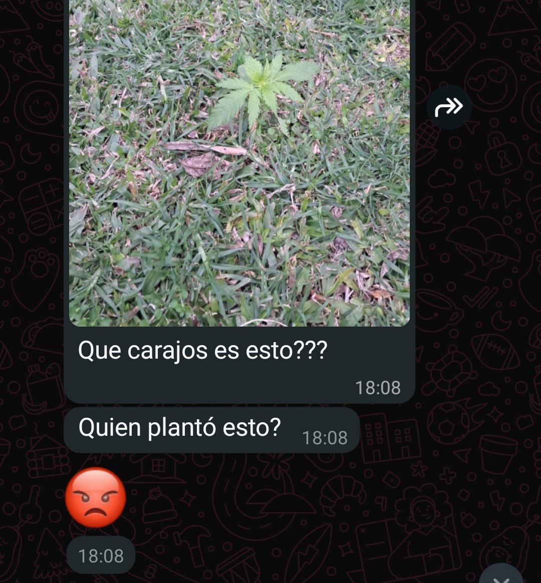 😭😭😭😭😭😭