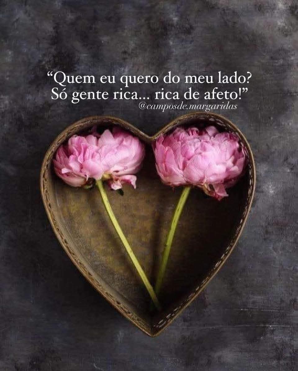 Que nos aproximemos de pessoas ricas de afeto, ricas de educação, ricas de gentileza, ricas de amor, ricas de empatia, ricas de respeito, ricas daquilo que o dinheiro não pode comprar. Que nos aproximemos da  gratidão, que nos impulsionam e que nos transformam positivamente.