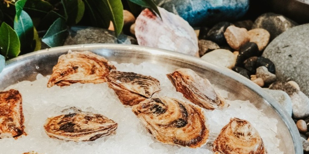 Oysters on ice. BC wine in hand.

Sip &amp; Shuck is back; your perfect after-work unwind in the heart of Vancouver. Freshly shucked oysters paired with the region’s best wines; all served with waterfront views.
📅 Reserve your table now → bit.ly/47nR54F