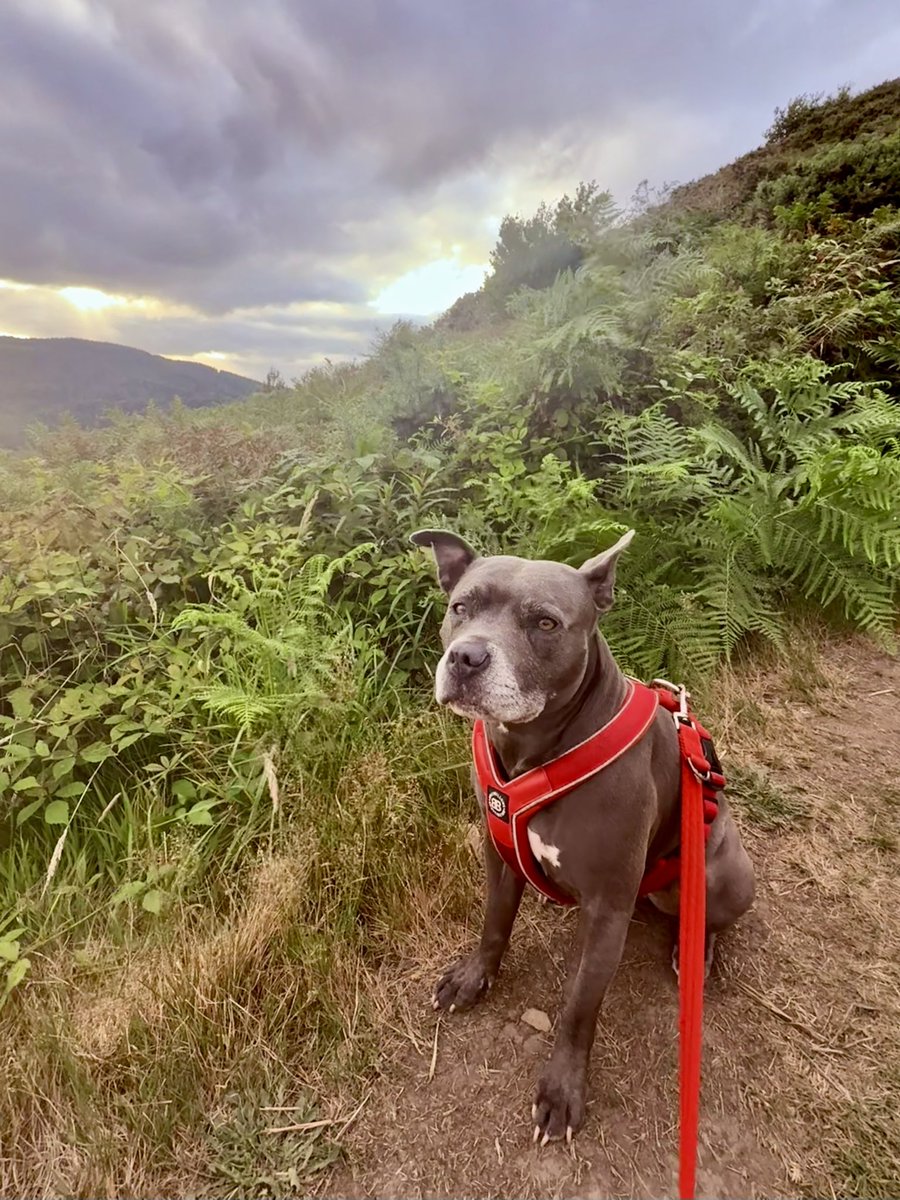 Isa Mary tweet media