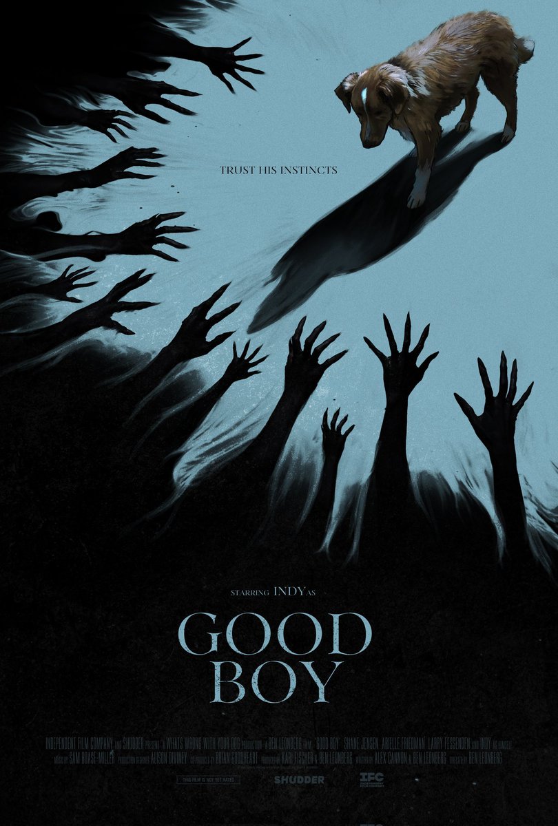 ¿Como sería una película de terror vista desde los ojos de un perro? Existe y se llama GOOD BOY, la historia de un valiente perrito que tendrá que luchar contra unas oscuras entidades para proteger a quien más quiere: su dueño. La película ha recibido muy buenas críticas.