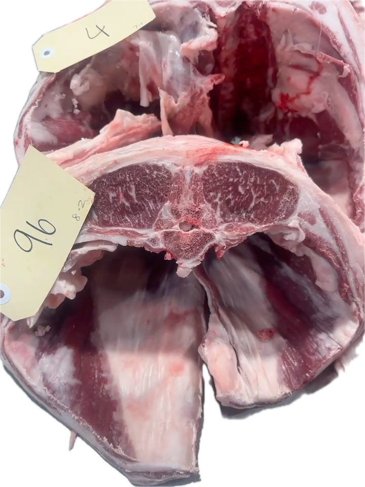 Top experience at Fletchers processing lambs in the Merino Production Trial. 

The quality across the 70 odd teams was great, and congratulations to <a href="/BorambilMerinos/">Borambil Merino Stud</a> clients Cammic for a pen of excellent wethers.

Thanks to Craig Wilson and all the others for making AMPT happen.