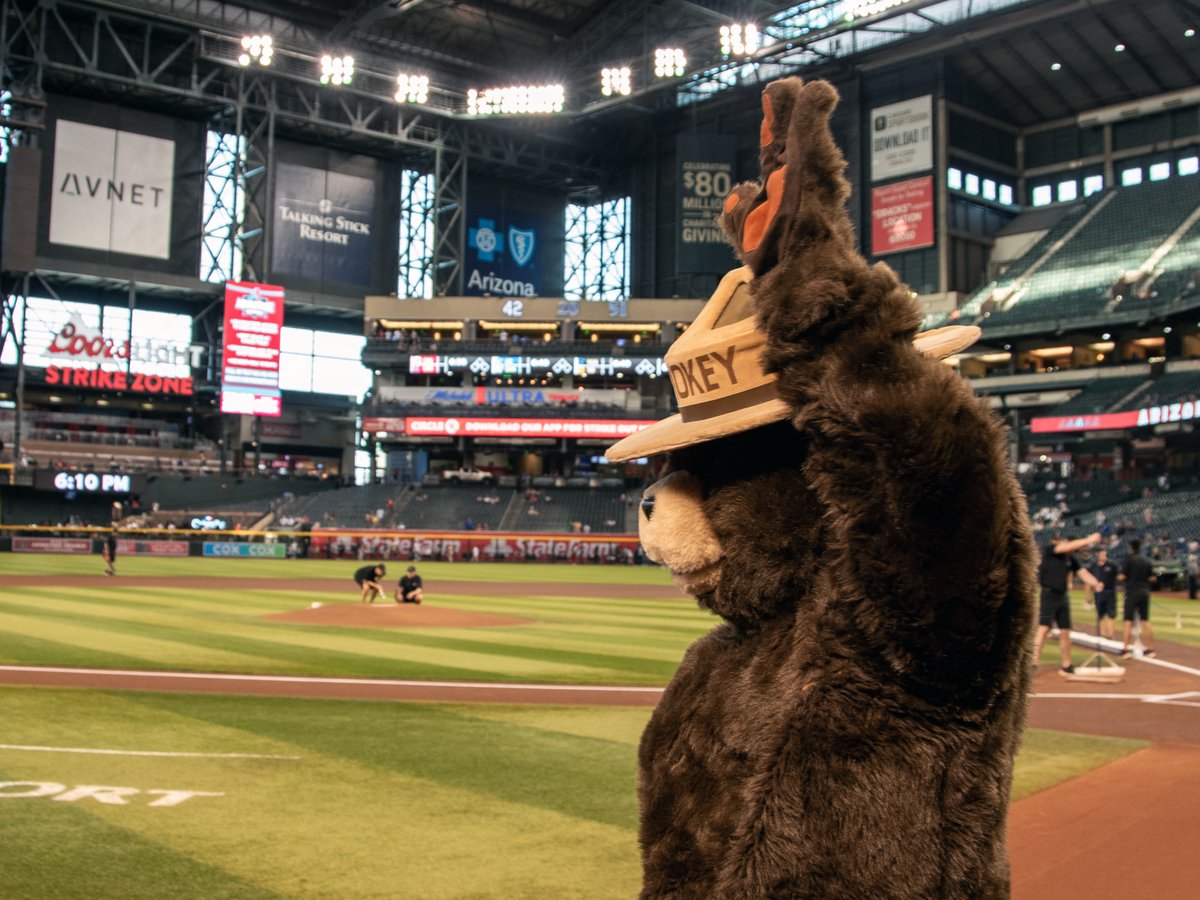 Remember: ONLY YOU can prevent forest fires!
 
Happy birthday to the one and only <a href="/smokey_bear/">Smokey Bear</a>! Created on this day in 1944, the fire safety campaign has lived on in print, TV, wood statues, ballgame appearances and even hot-air balloons!