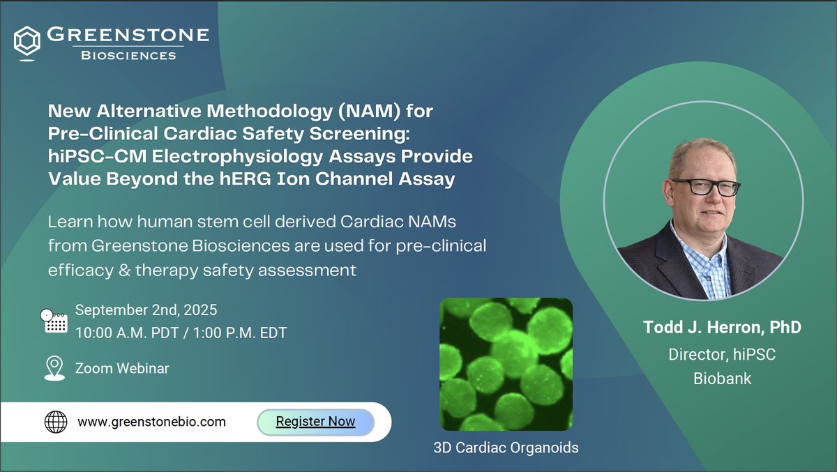 Sept 2 @ 10 AM PDT/1 PM EDT – Learn how #hiPSC #Cardiomyocyte #NAMs go beyond hERG for pre-clinical cardiac safety screening, enabling faster, more human-relevant drug discovery.
🔗 Register: (us06web.zoom.us/webinar/regist…)
#DrugDiscovery #FDA #Toxicology #StemCells #NAMs