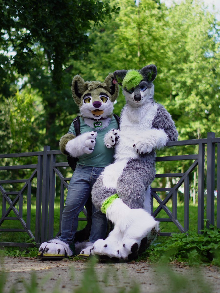 Milson (@milsonthewolf) on Twitter photo Happy #FursuitFriday with me and <a href="/nadamefloof/">N a d i 🍪 (@nadamefloof.bsky.social)</a>
Photo: <a href="/mike_wolf_furry/">mike_furry</a> Happy #FursuitFriday with me and <a href="/nadamefloof/">N a d i 🍪 (@nadamefloof.bsky.social)</a>
Photo: <a href="/mike_wolf_furry/">mike_furry</a>