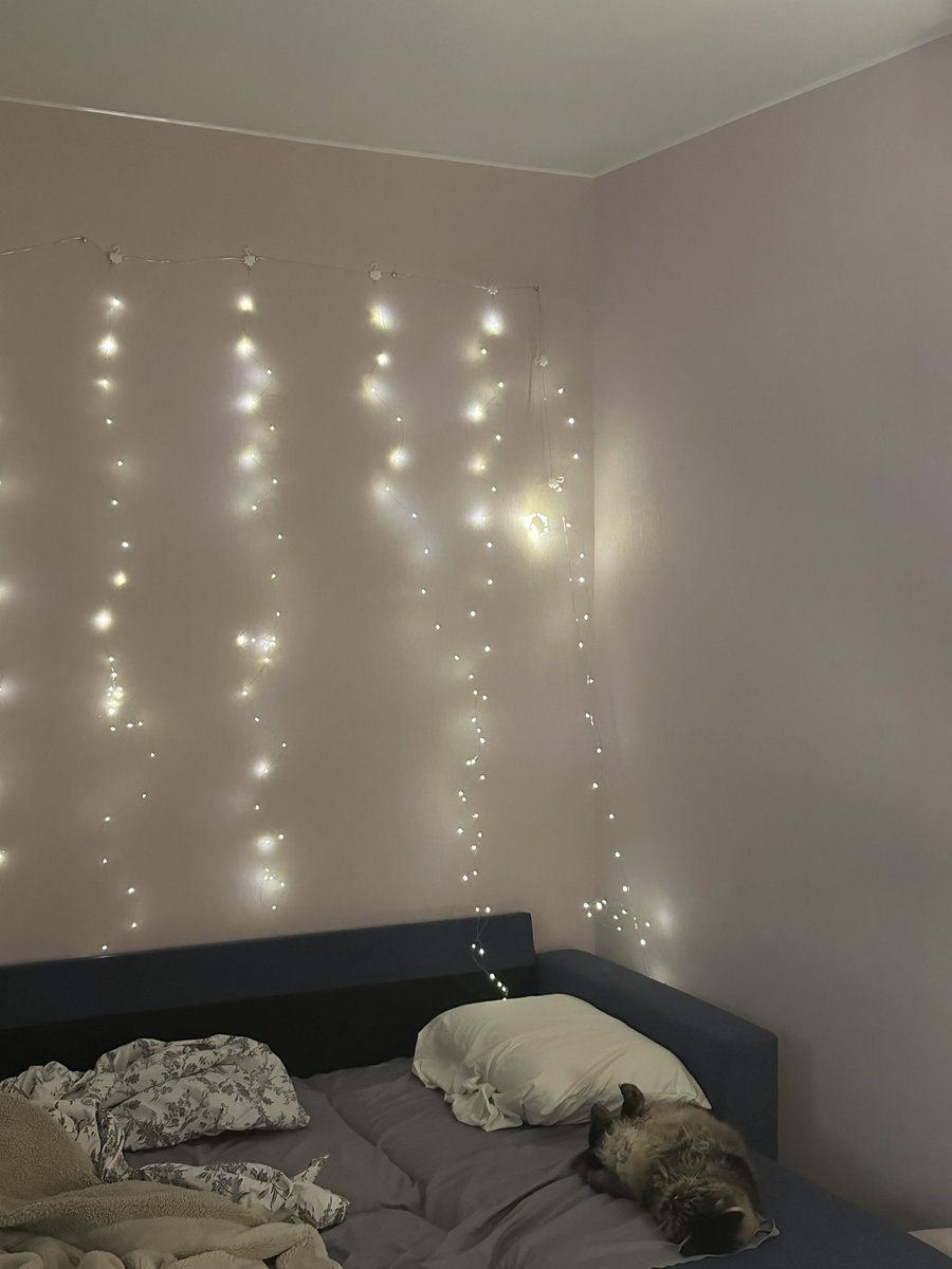 с международным днём кошки Марлы!