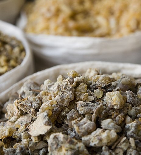 When he was a boy, Alexander had been ticked off by his tutor Leonidas for scooping up handfuls of precious frankincense to burn on the altar as offerings to the Gods. Leonidas had clucked reprovingly, “Alexander when you have conquered the lands  which produce these aromatics,