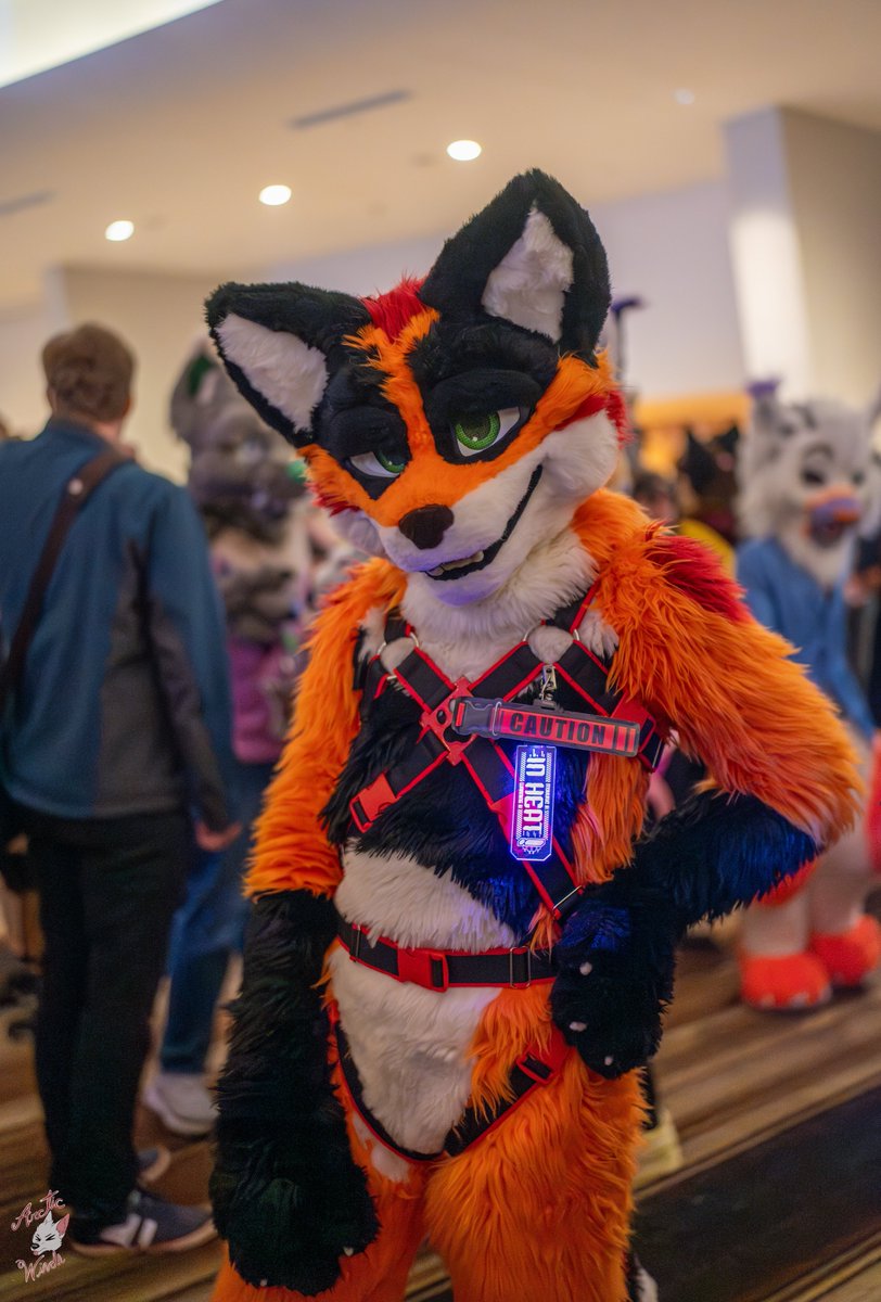 Finally a new post for #FursuitFriday!

Now that you're back, we've got some catching up to do~

📸: <a href="/ArcticWindPhoto/">Arctic Winds Photos</a> 
⛓️: <a href="/Crunchycurl/">Crunchycurl</a> 
📍: FWA 2025