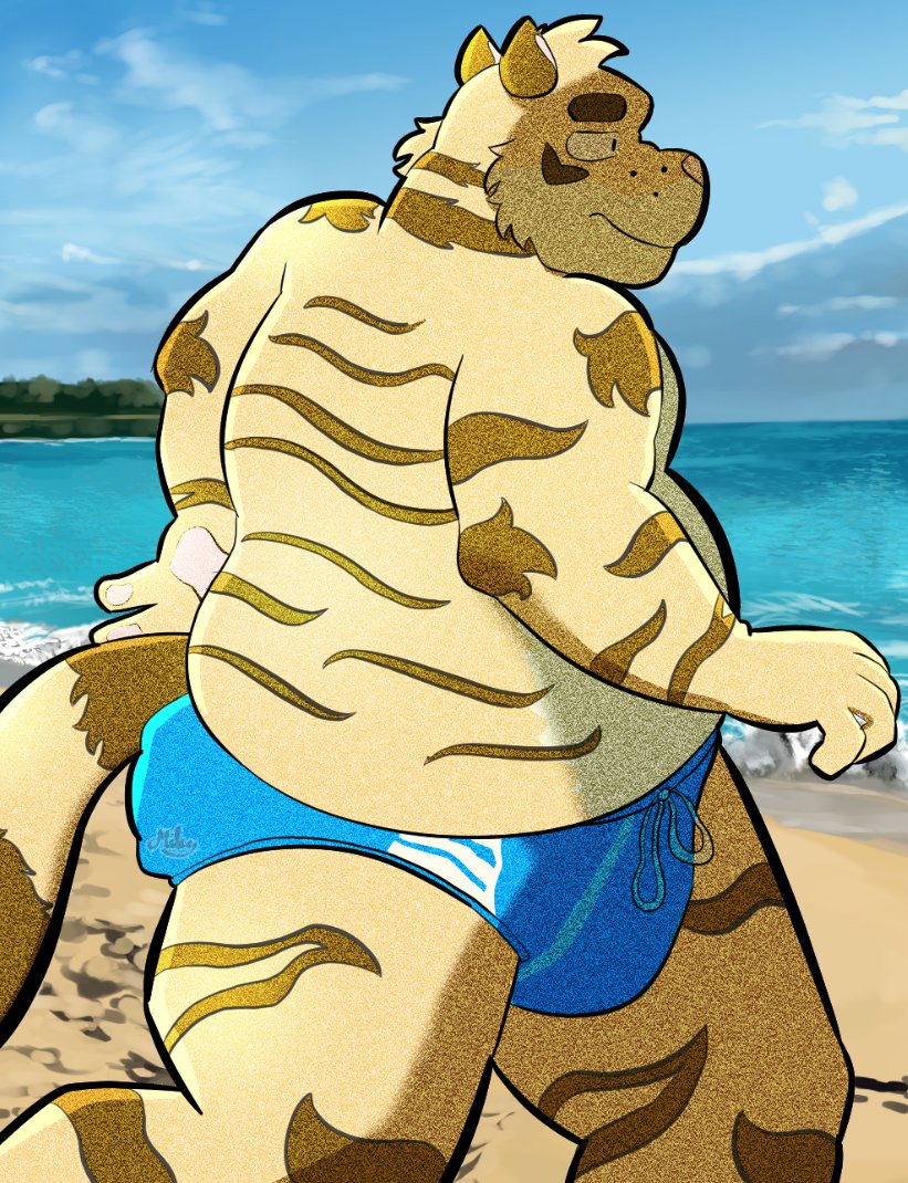 Vincent en la playa 🐯☀️