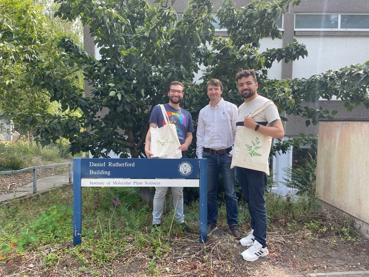 Rafael Cruz 🪴🔬🧬🇧🇷 #FernAlly tweet media