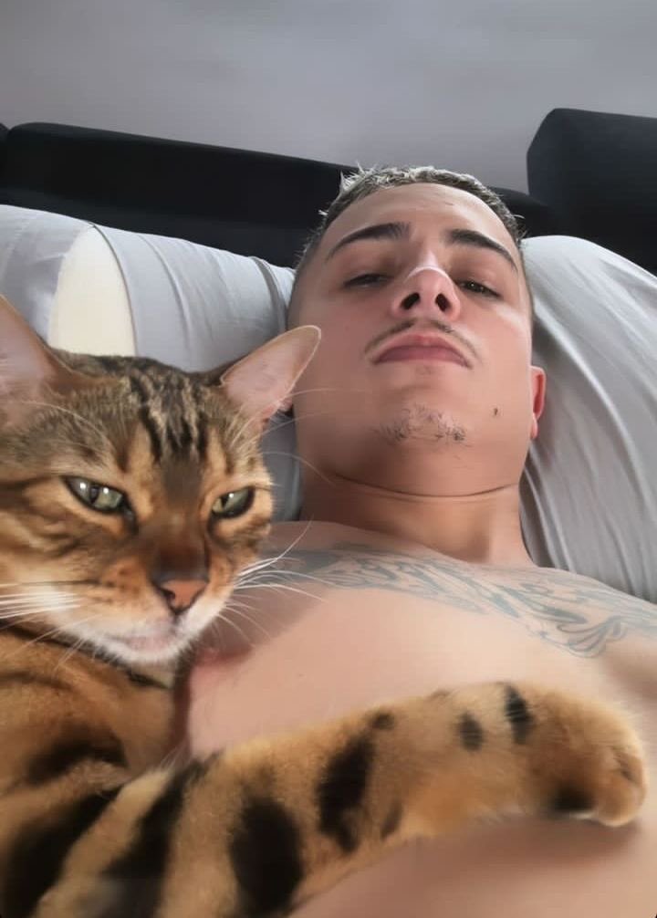 portalharielmc's tweet image. 🐾 Feliz Dia Internacional do Gato! 🐱✨ #DiaDoGato #MeowMode