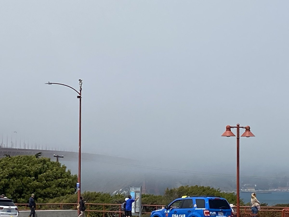 Steven Huh 허규성 許圭晟🇰🇷🇺🇸 (@demuddy10) on Twitter photo Lunch looking out at the Golden Gate Bridge. Thank you, Karl <a href="/KarlTheFog/">karl the fog</a>, for keeping us cool while the rest of the world swelters 🙂 Lunch looking out at the Golden Gate Bridge. Thank you, Karl <a href="/KarlTheFog/">karl the fog</a>, for keeping us cool while the rest of the world swelters 🙂