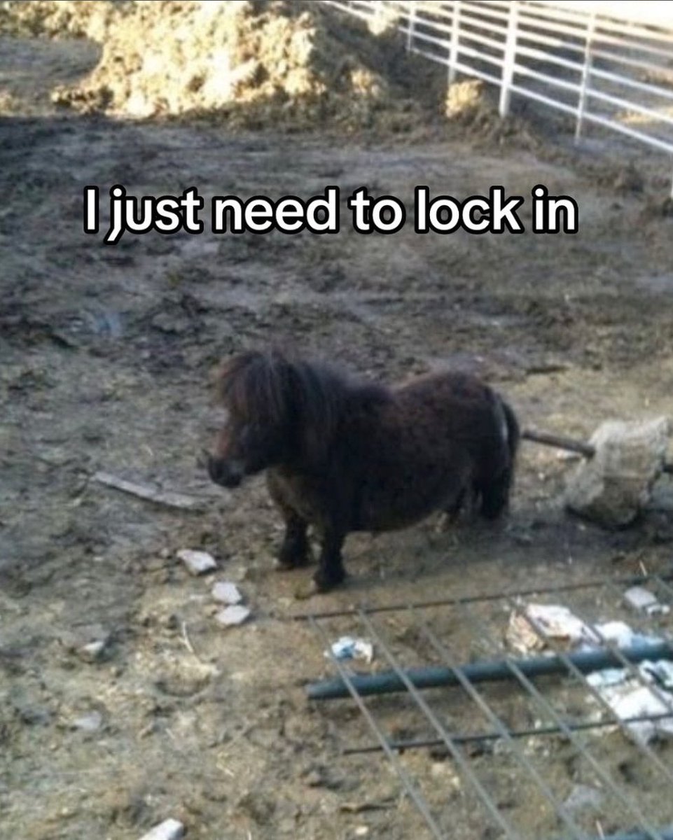 MikesAMiner (@mike81tv) on Twitter photo 