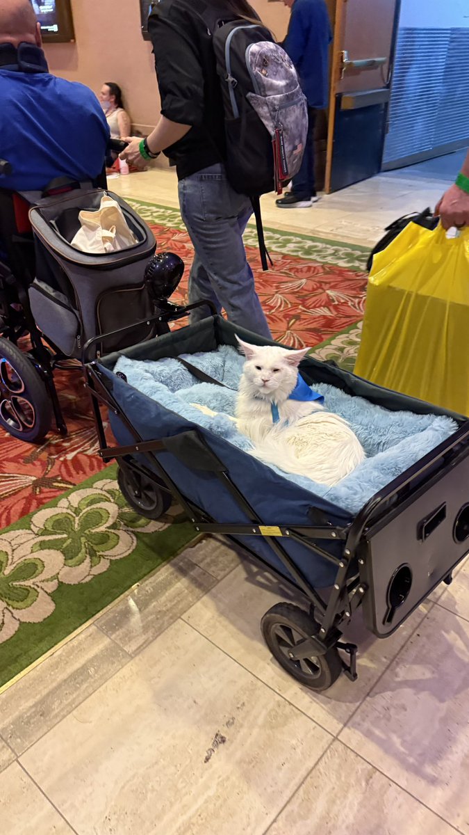 Parks And Cons tweet media