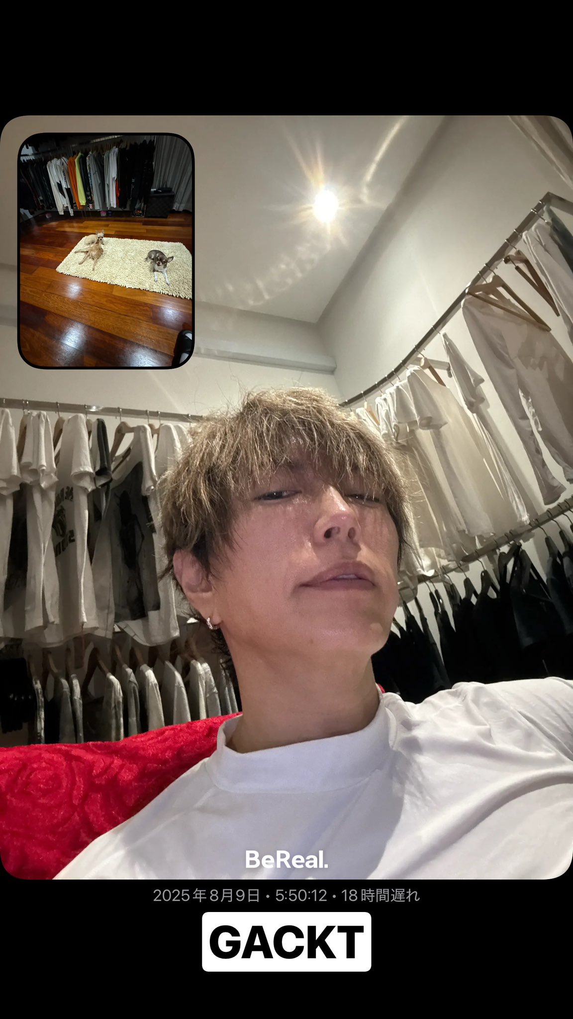 k.t　Gacktさん　着用　同型同色　2017年武道館　GENE k.t Gacktさん 着用 同型同色 2017年武道館 GENE GACKT ONLINE