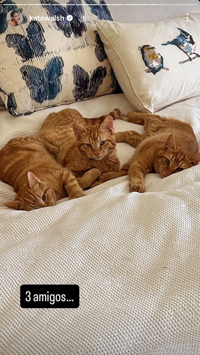 "3 amigos..." a kate walsh metendo um 
português no storie do nada kkkkk 🥺🇧🇷