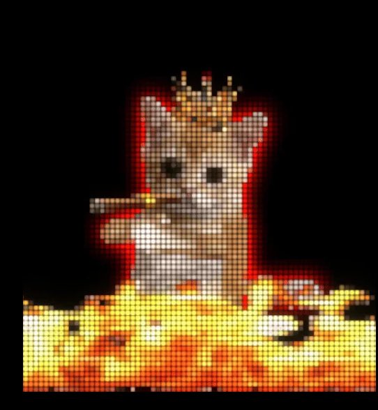 <a href="/ravecatssol/">Ravecats</a> lol this is fucking hilarious