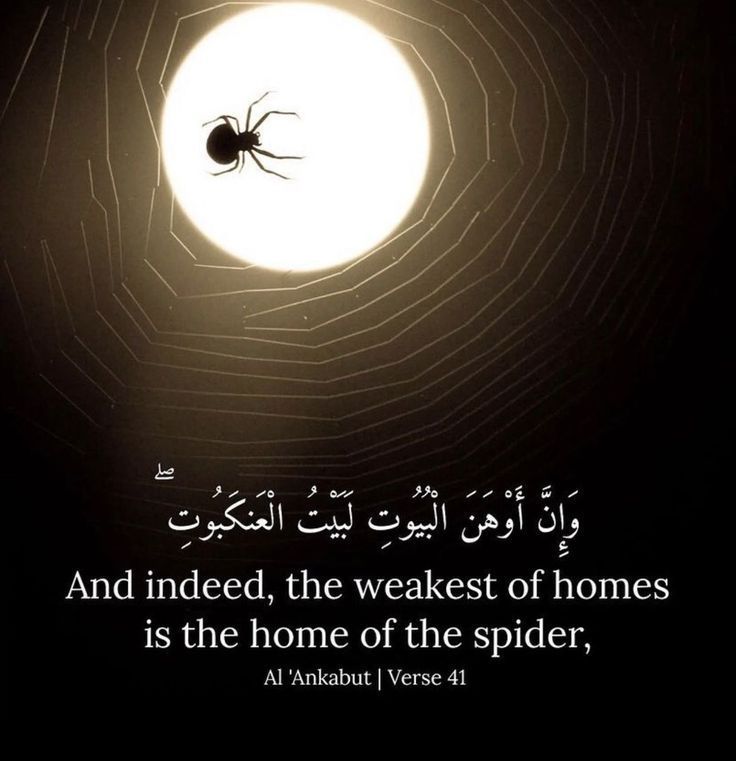 reposts, it will help you🤍🕊️