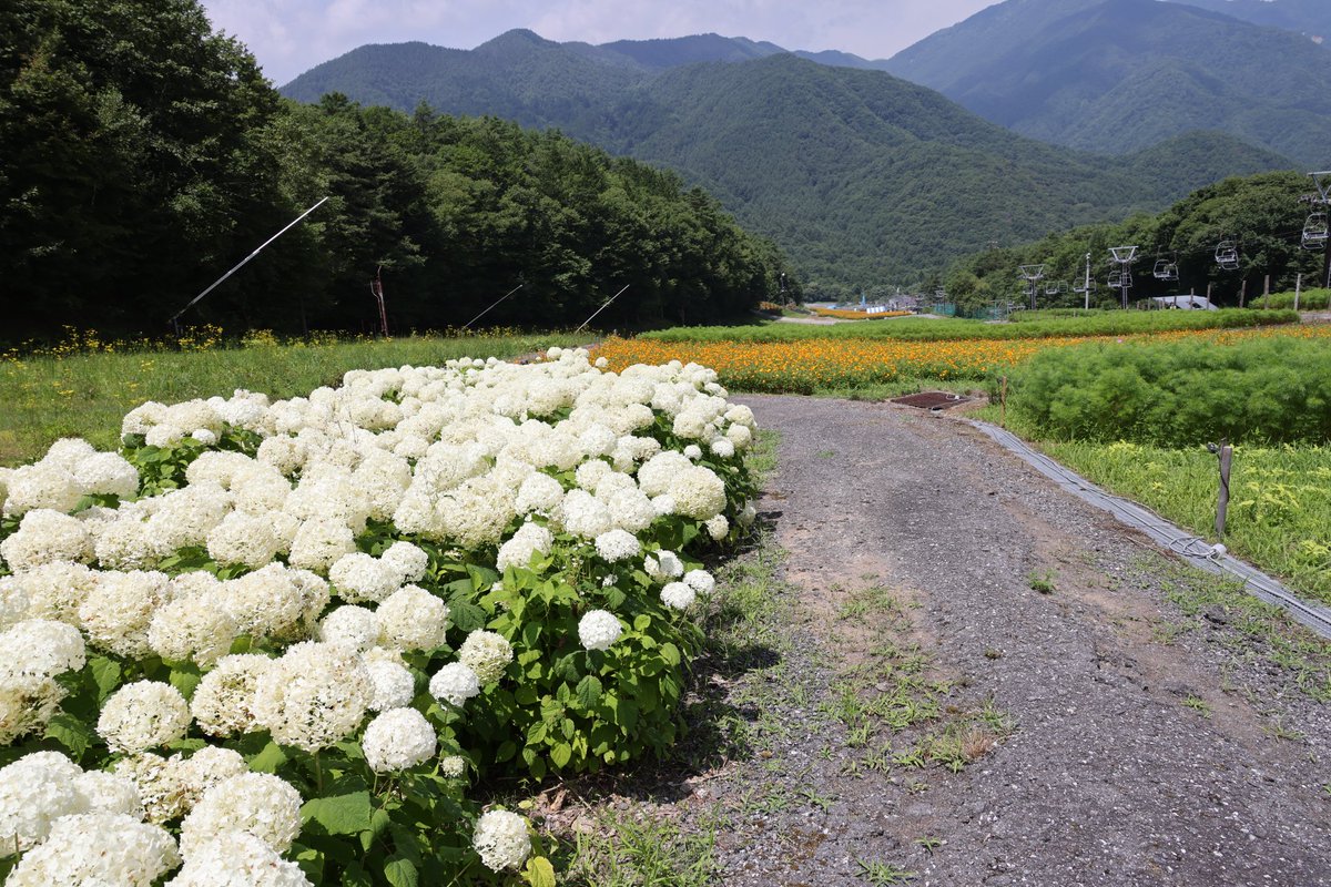 おはようございます。
