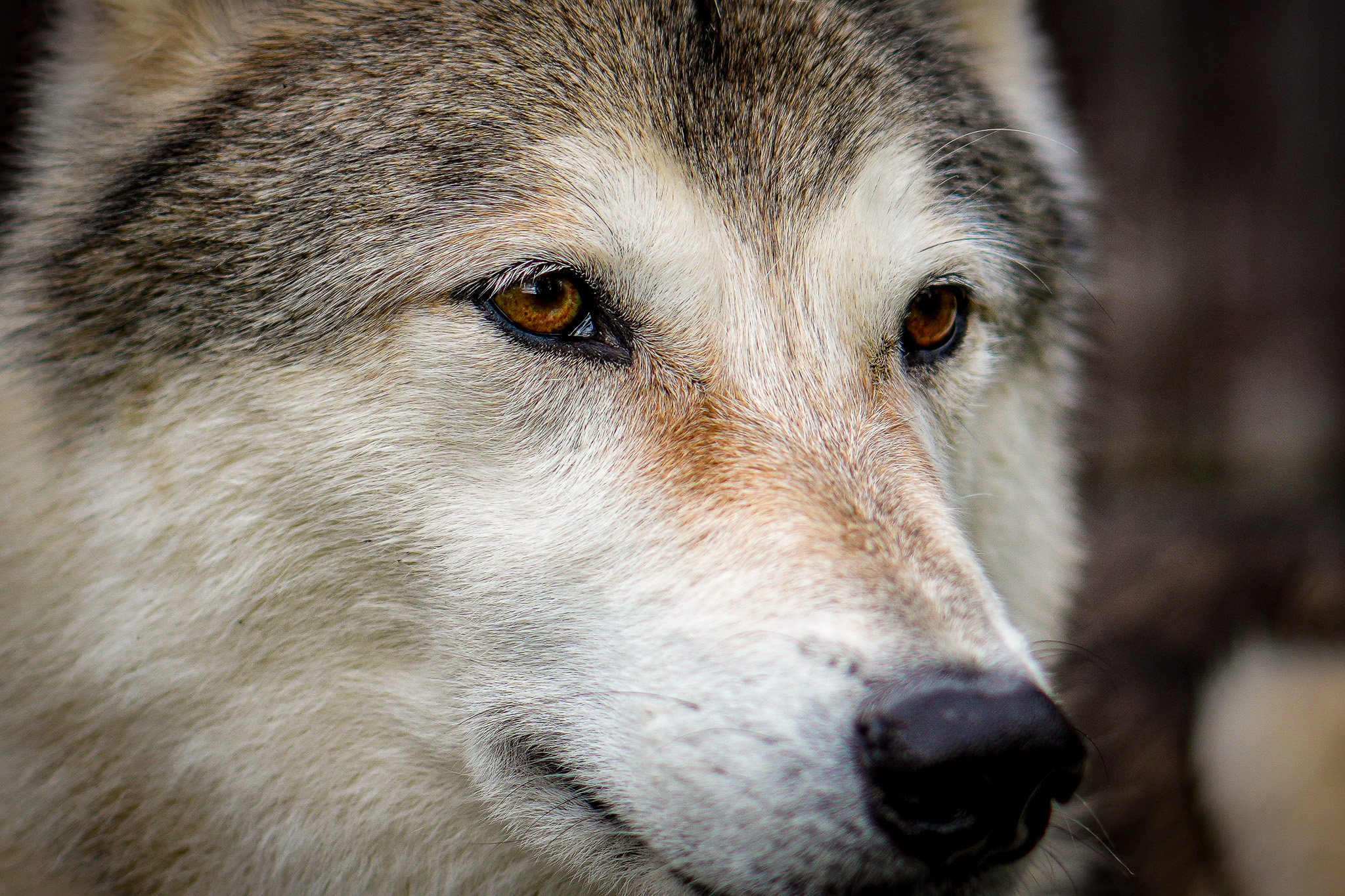 むぎページ むぎ (@mugi2six) / X