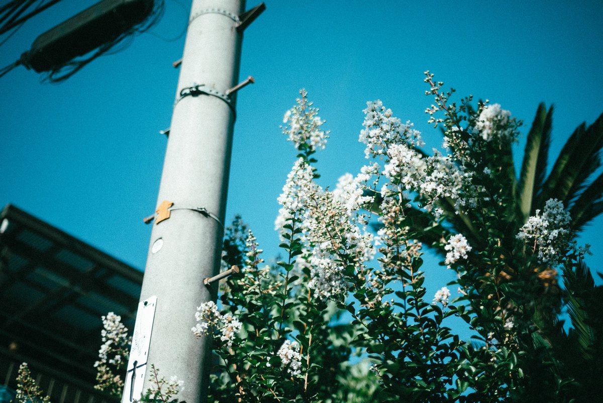 たよ (@ta062yo) on Twitter photo 