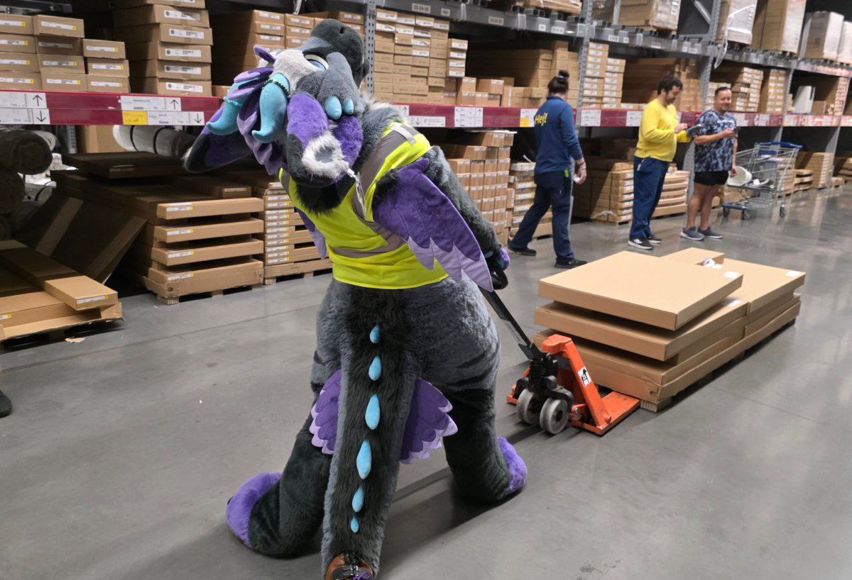 Dust the Dutchie 🔜 🧭 tweet media