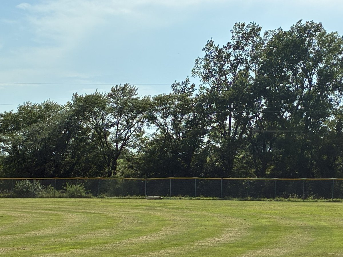 Leader Sports tweet media