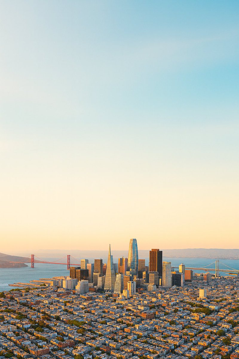 kooshiar tweet media