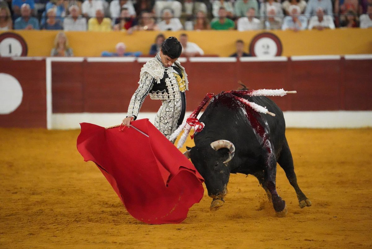 Toros Marbella tweet media