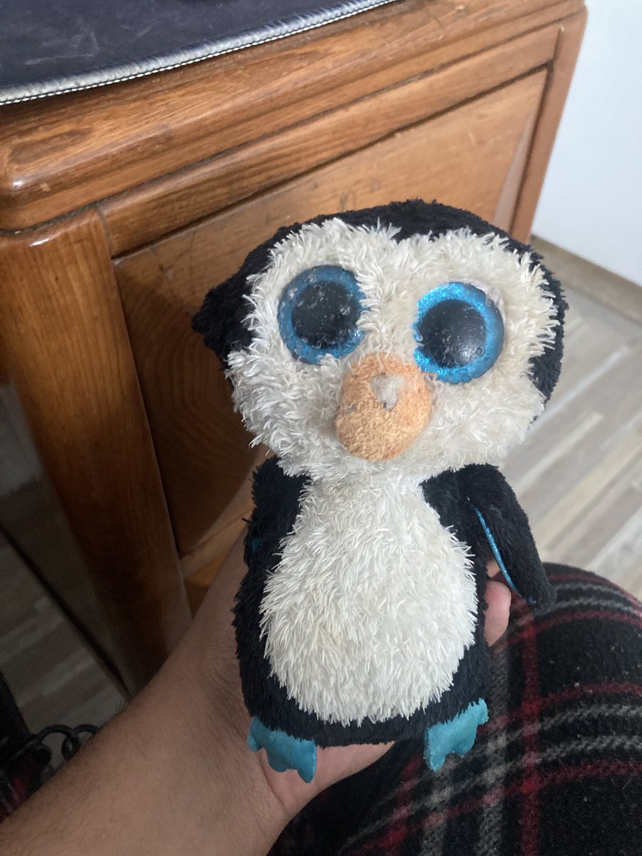 octonwoomy tweet media