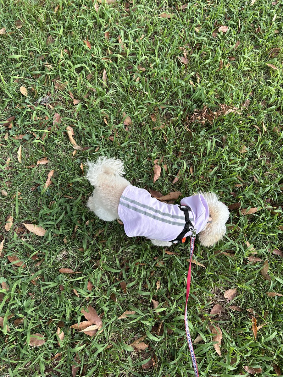 朝早くから大きい公園いってお散歩〜！