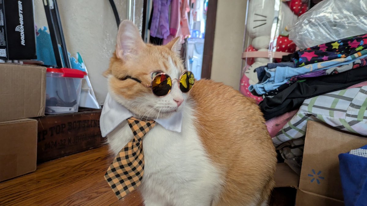 Husbands just sent me this picture of our boy will feral 🤣🤣