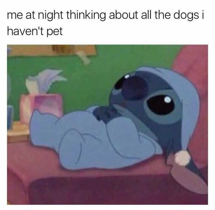 WholesomeMemes (@wholesomememe) on Twitter photo 