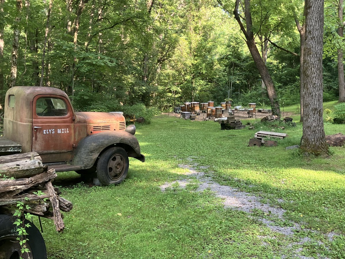 bsbees2016's tweet photo. Bee hives in the Great Smoky Mountains. 🐝⛰️#ElysMill https://t.co/3nMw37UgrB