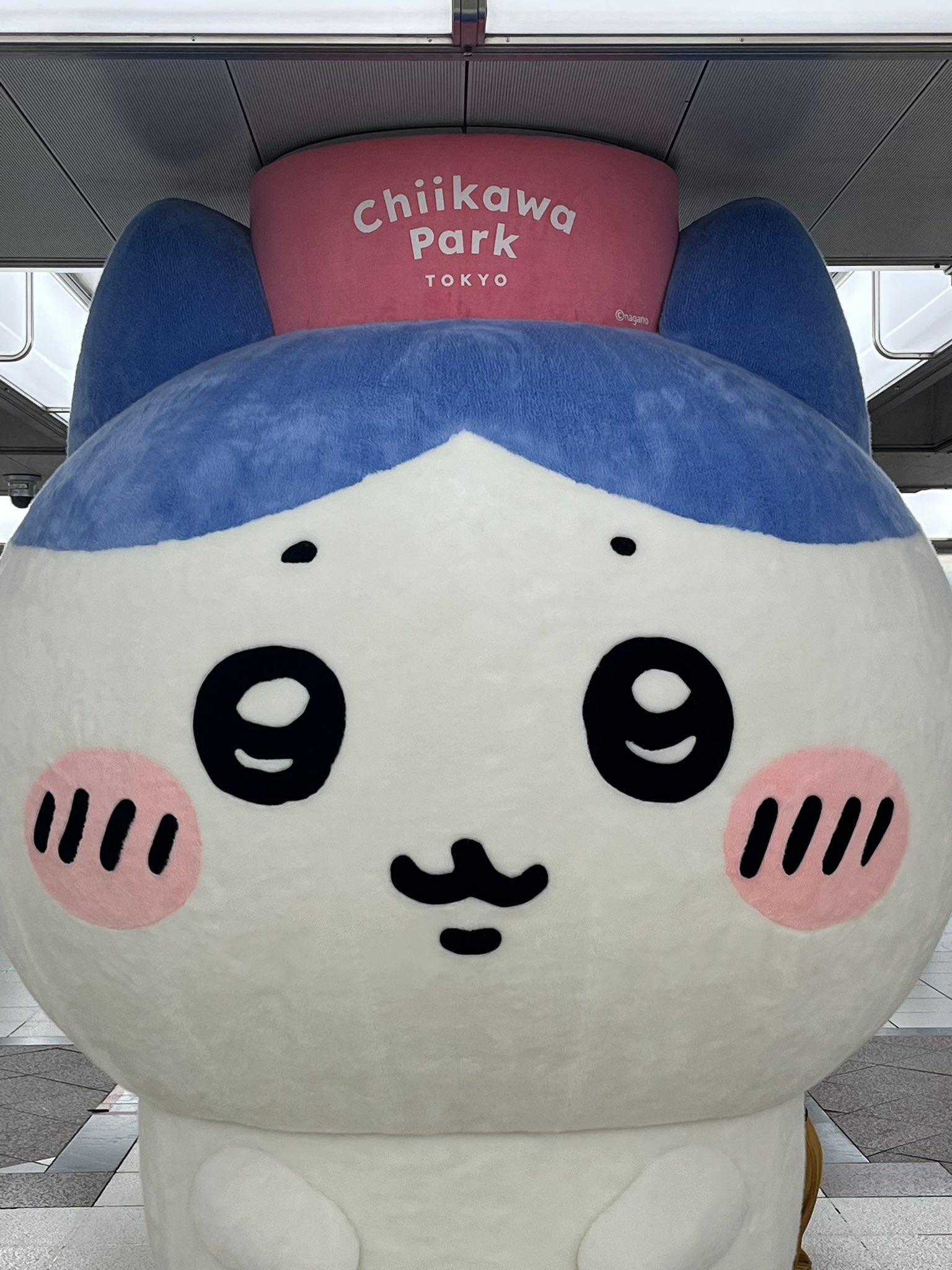 おかもちうさぎ on X: 