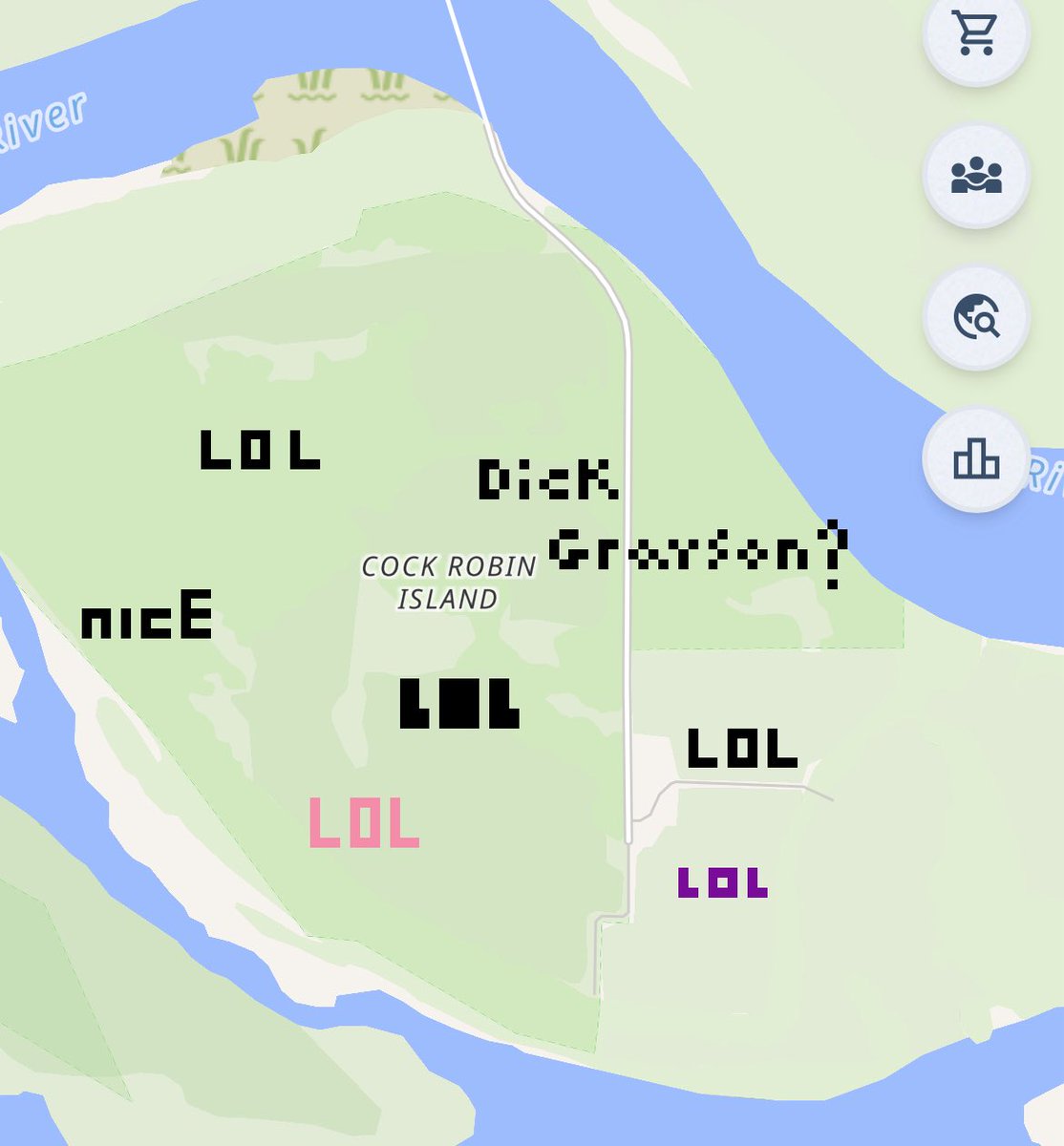 amazing things happening on wplace rn