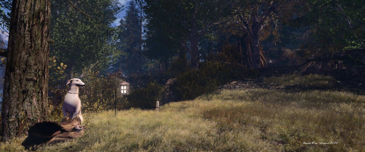 InaraPey's tweet image. Exploring SL:

An overdue return to Athenaeum in Second Life - wp.me/pxezy-DhQ - #SL #SecondLife #ExploringSecondLife