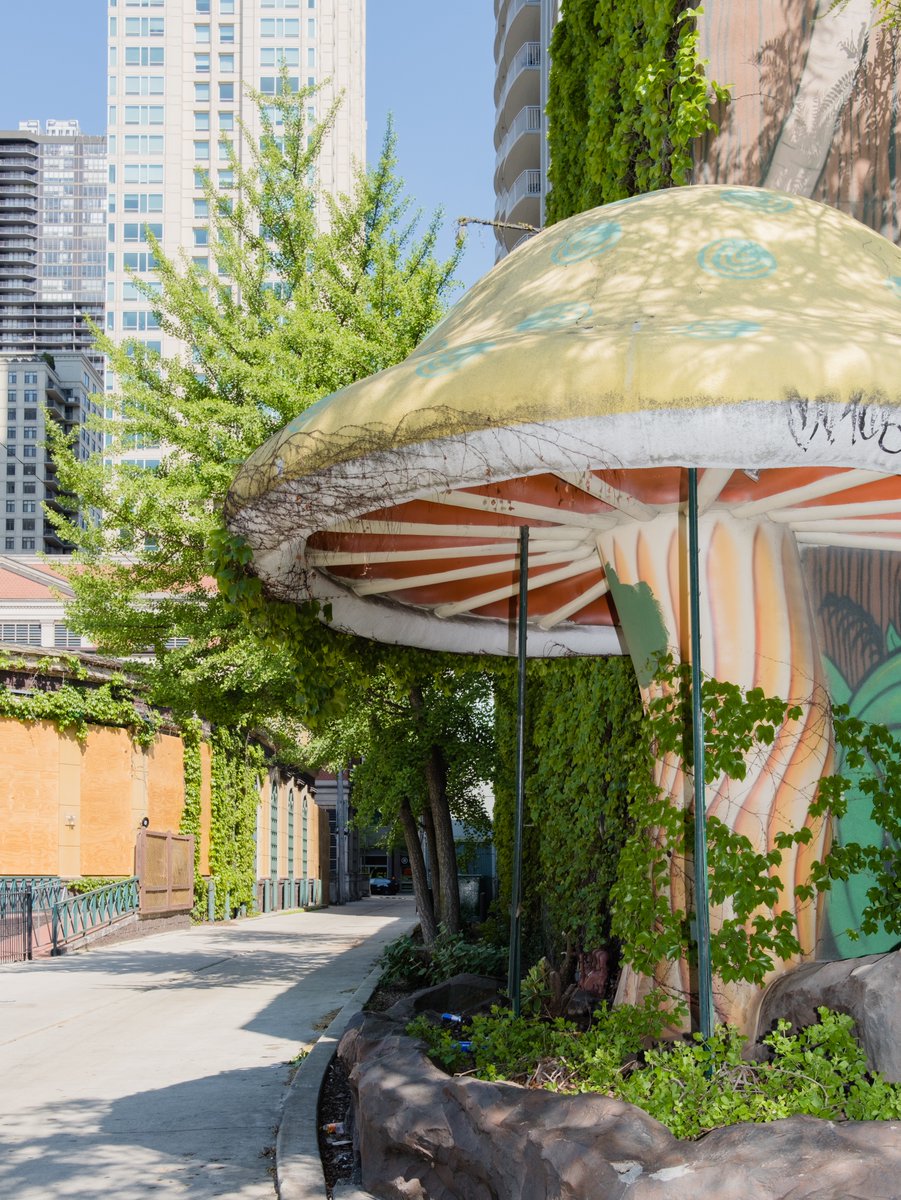 Mack (@regularmack) on Twitter photo 