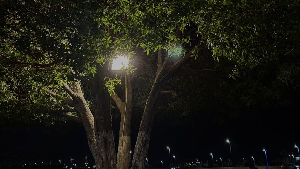 ماتفعله يمناك في واجب الغير
تلقاه لاضاقت عليك الوسيعه

ابذل من المعروف وابذل من الخير
الرازق الله والجمايل وديعه